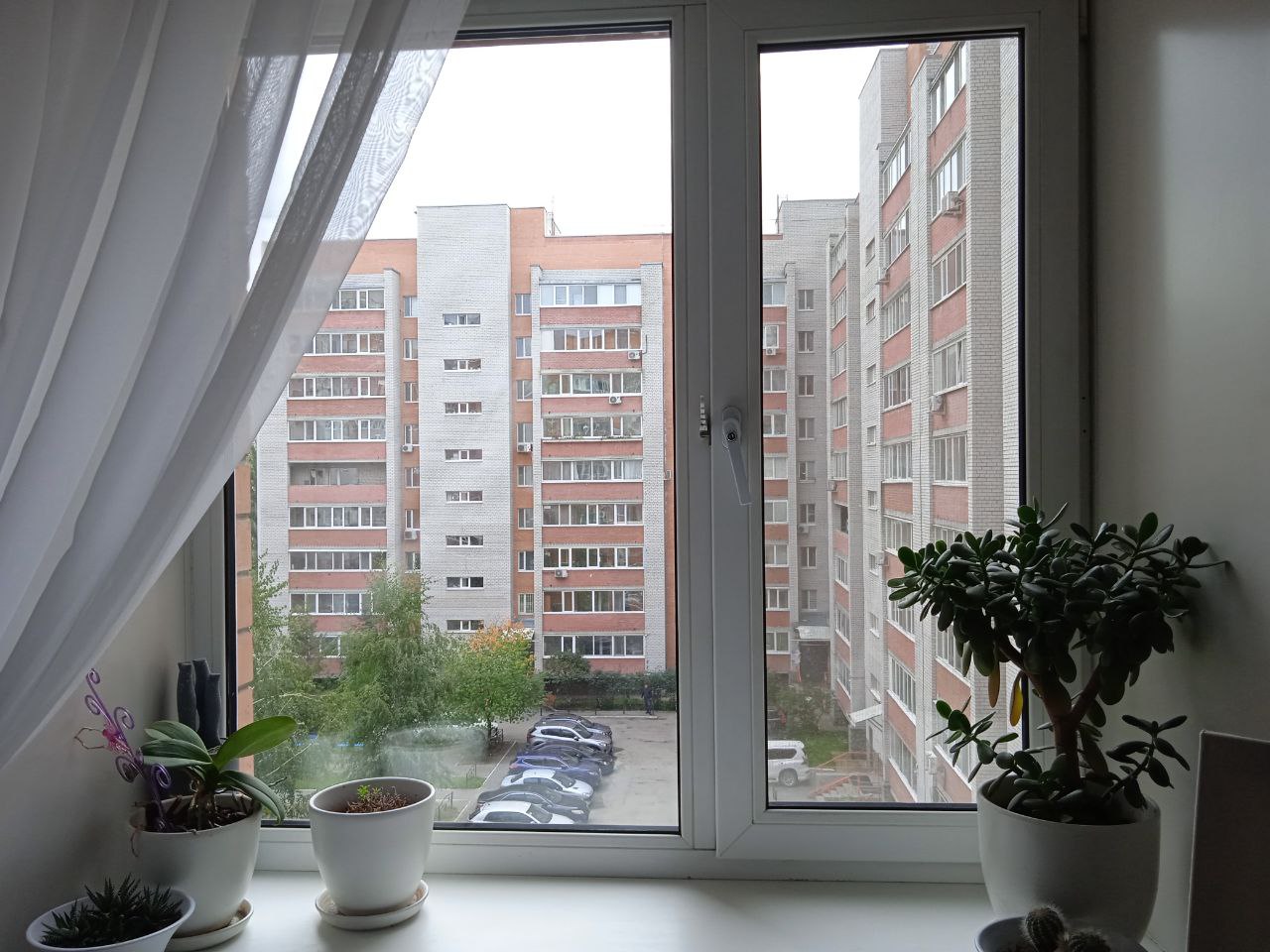 https://novgorod.delaem-okna.ru/storage/app/uploads/public/63f/331/482/63f331482975f325093091.jpg